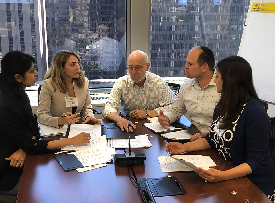 fellows in a meeting with mentors