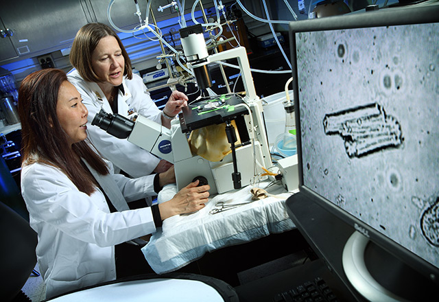 Dr. Lawton in the lab