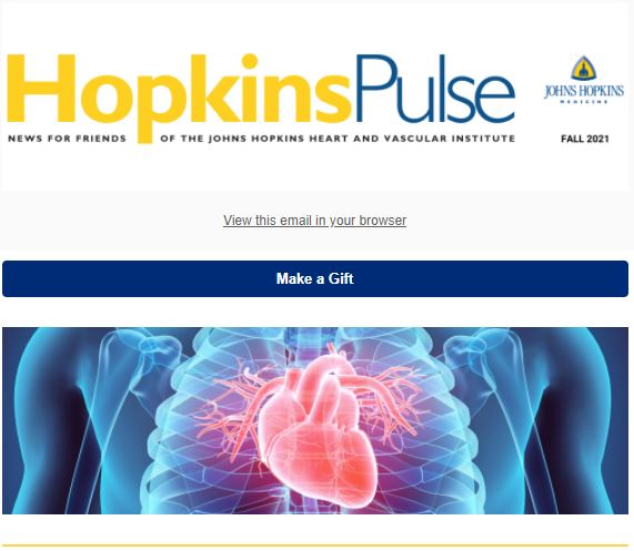 screenshot of the newsletter