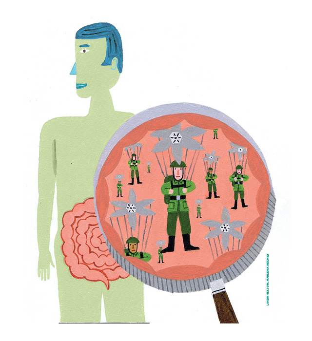 Illustration of army men in para-shoots under a microscope in front of a man's intestines