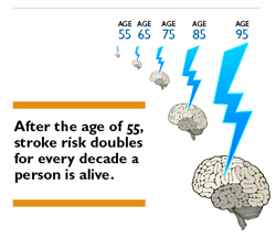 After the age of 55, stroke risk doubles for every decade a person is alive.
