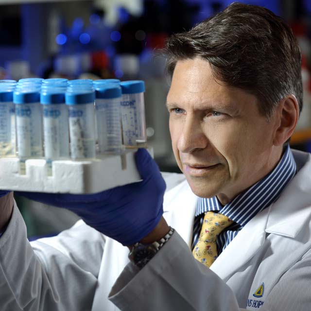 A photo shows Drew Pardoll at work in his lab at Johns Hopkins Medicine.
