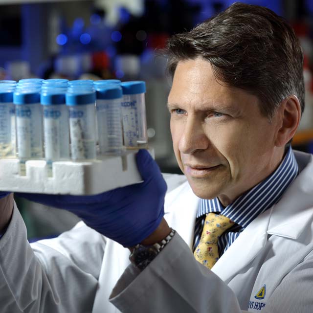A photo shows Drew Pardoll at work in his lab at Johns Hopkins Medicine.