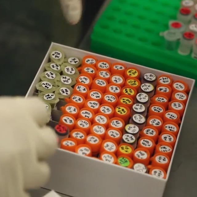 liquidbiopsy