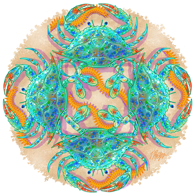 A portrait shows Maryland's blue crabs. 