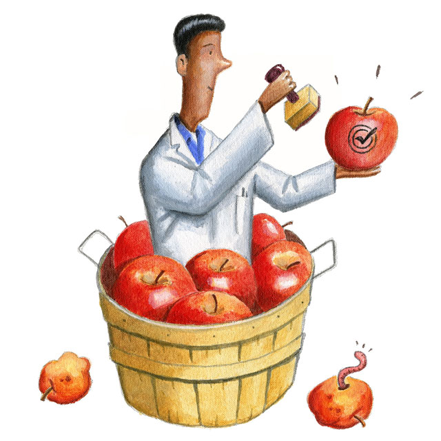 Doctor stamps approval check mark on an apple