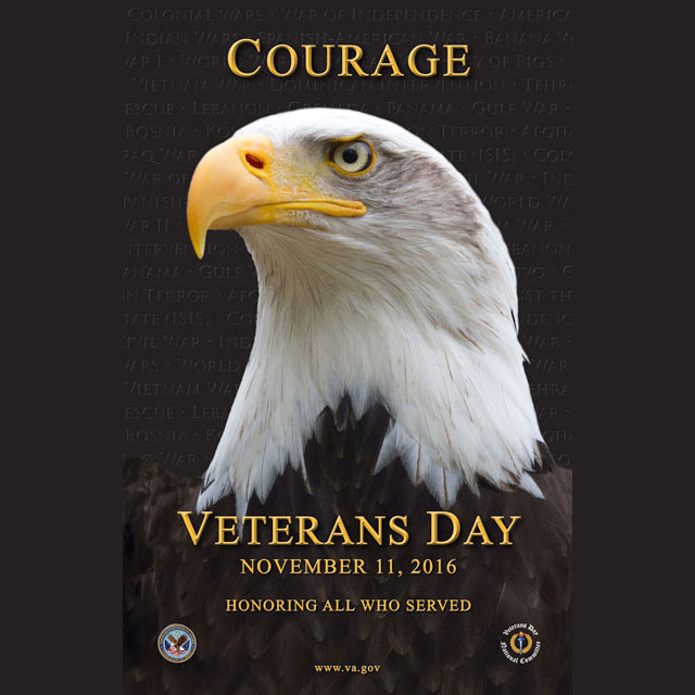 Veterans-Day-graphic-16poster_highres_640px