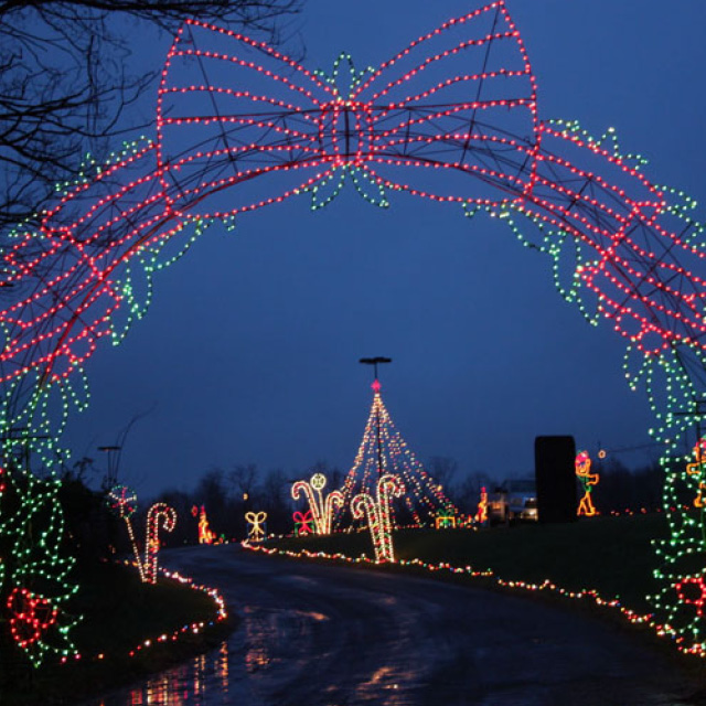 A photo shows the Symphony of Lights. 