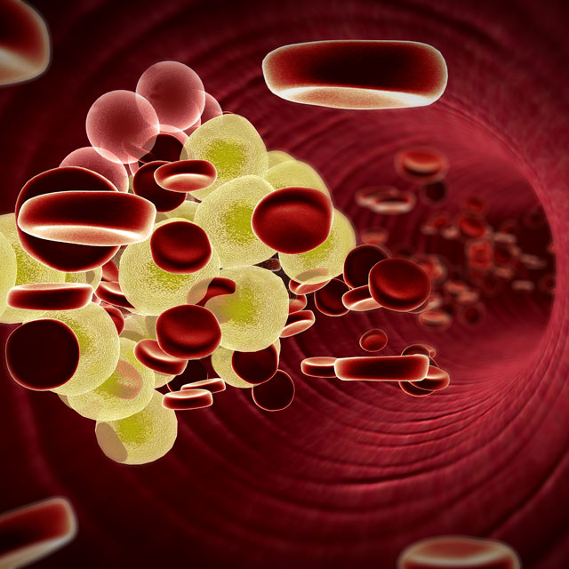 blood_cells_75299755_XXXLARGE_640px