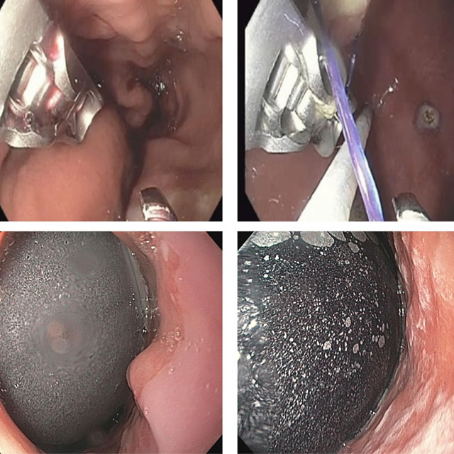 four_medical_images_640px