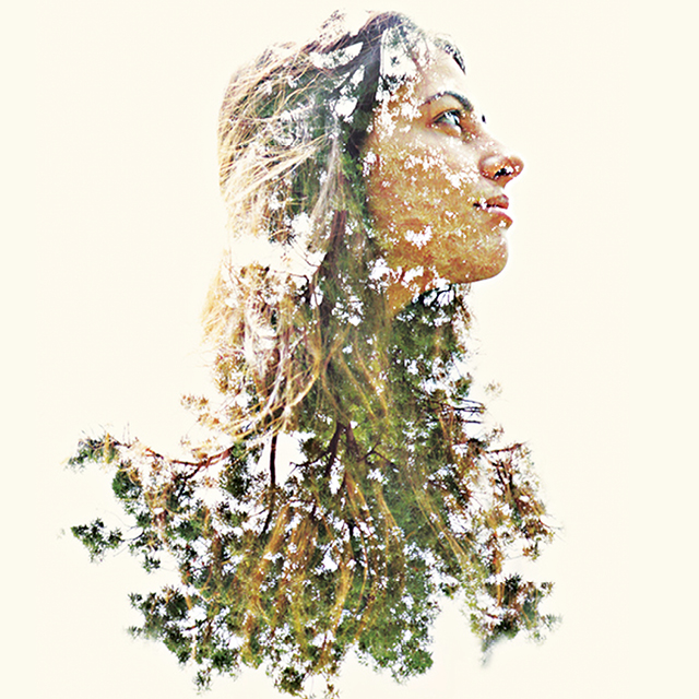 A_Womans_Journey_2017
