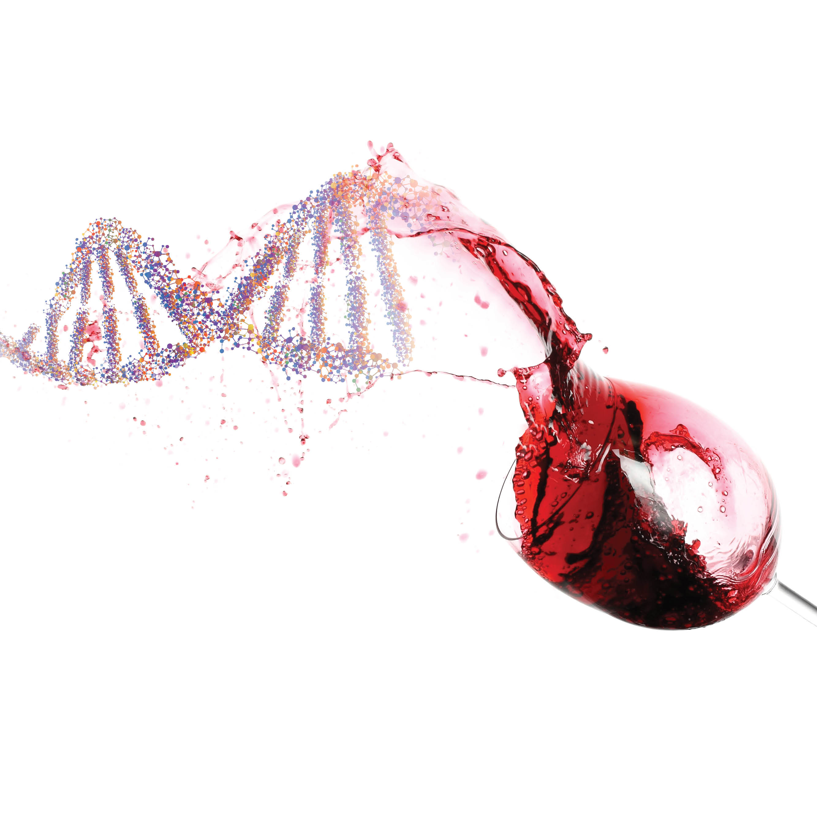 An image shows a glass of wine and a strand of DNA.