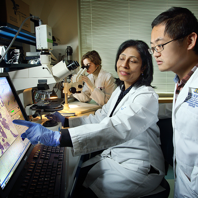 ​Saraswati Sukumar and Guannan Wang in the lab