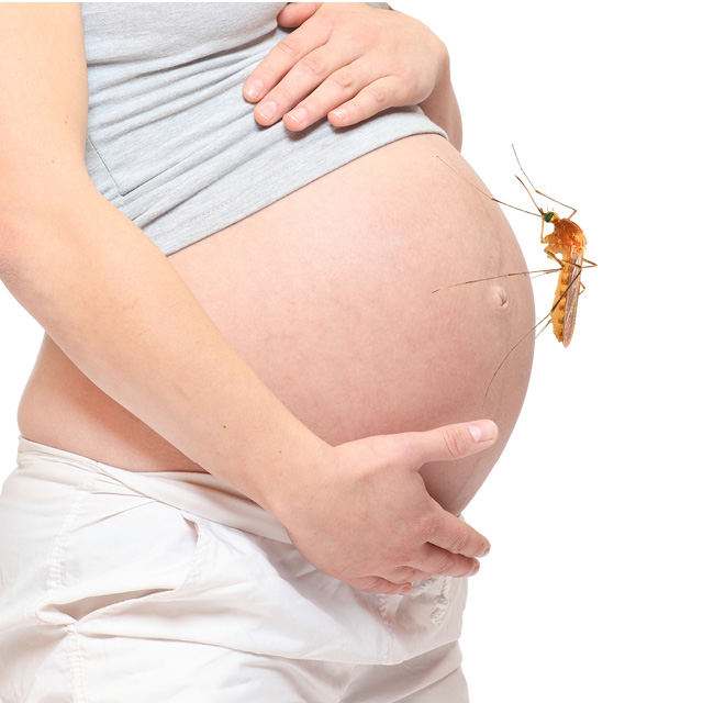 GYN1708056_KN_Johns Hopkins GYN_Winter 2018_WEB-ZIKA