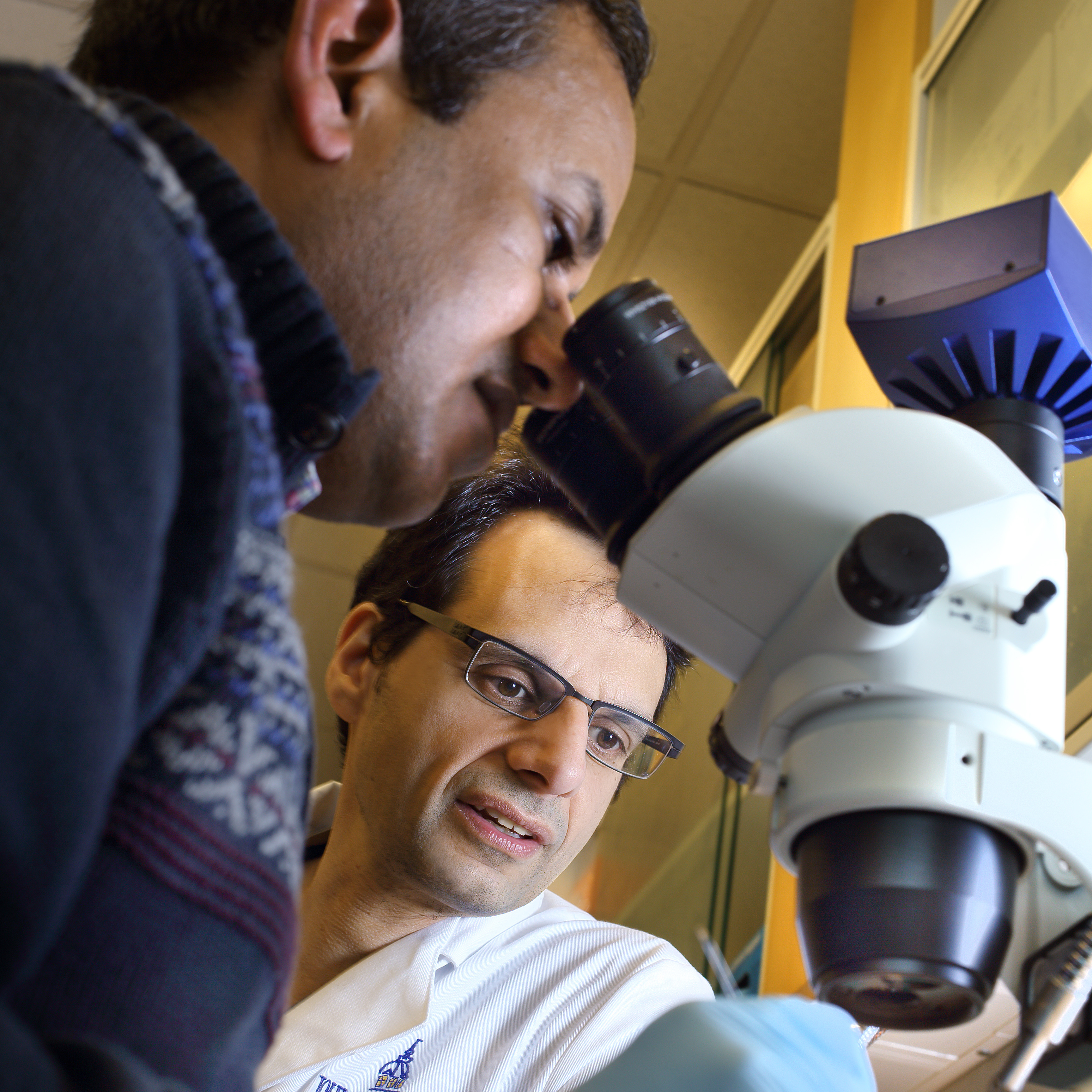 Faculty member looks into a microscope as David Hackam observes