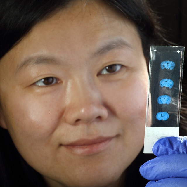 This photo shows researcher Shanshan Zhu.