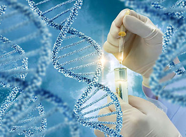 iStock-694177344-DNA-Testing_380x280