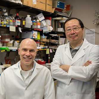researchers
