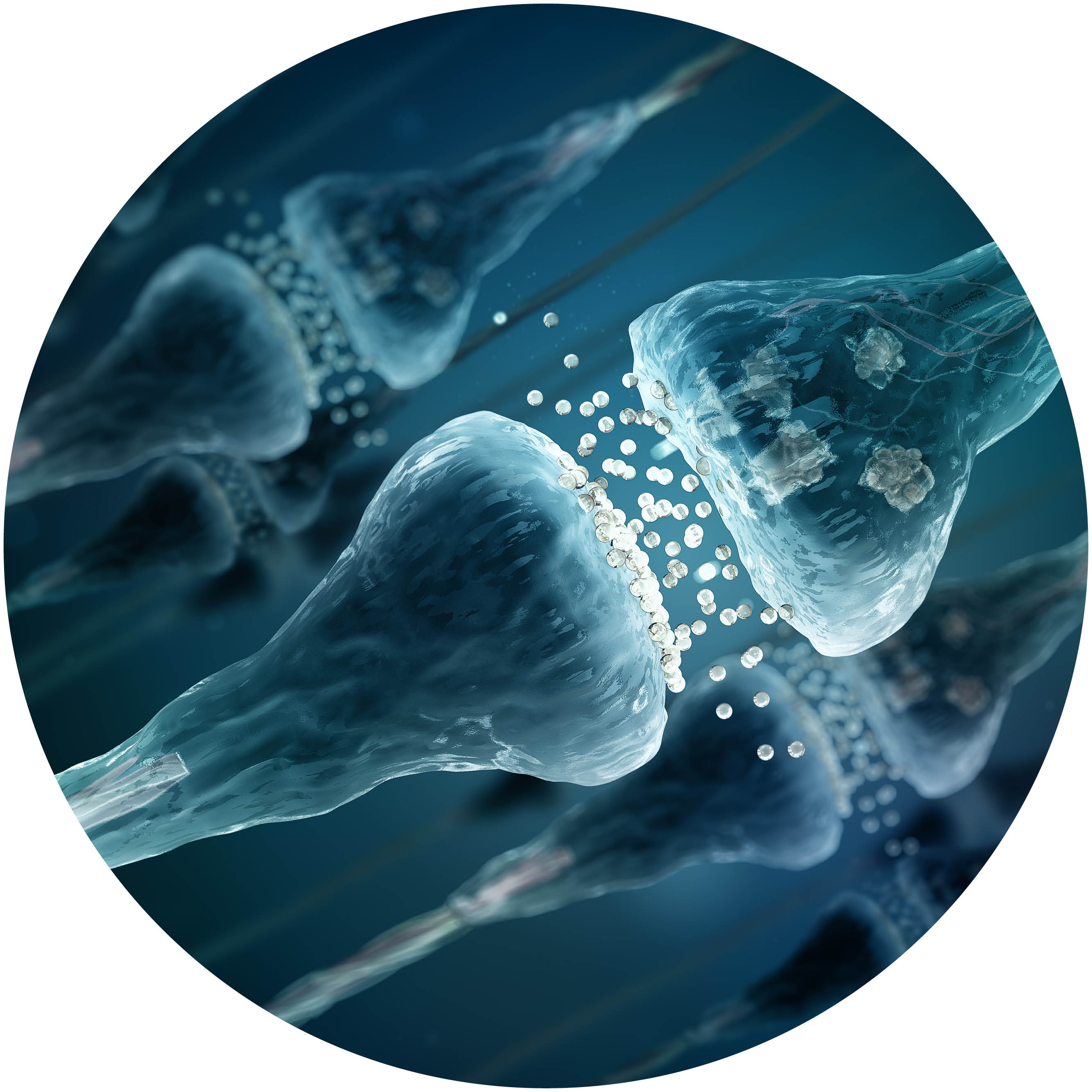 Stiff person neurotransmitter