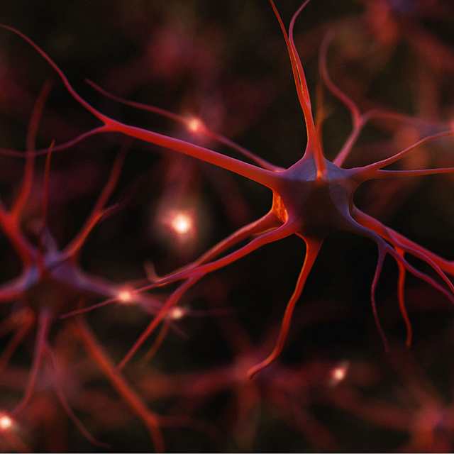Discovering How Neuromodulation Relieves Pain_edit
