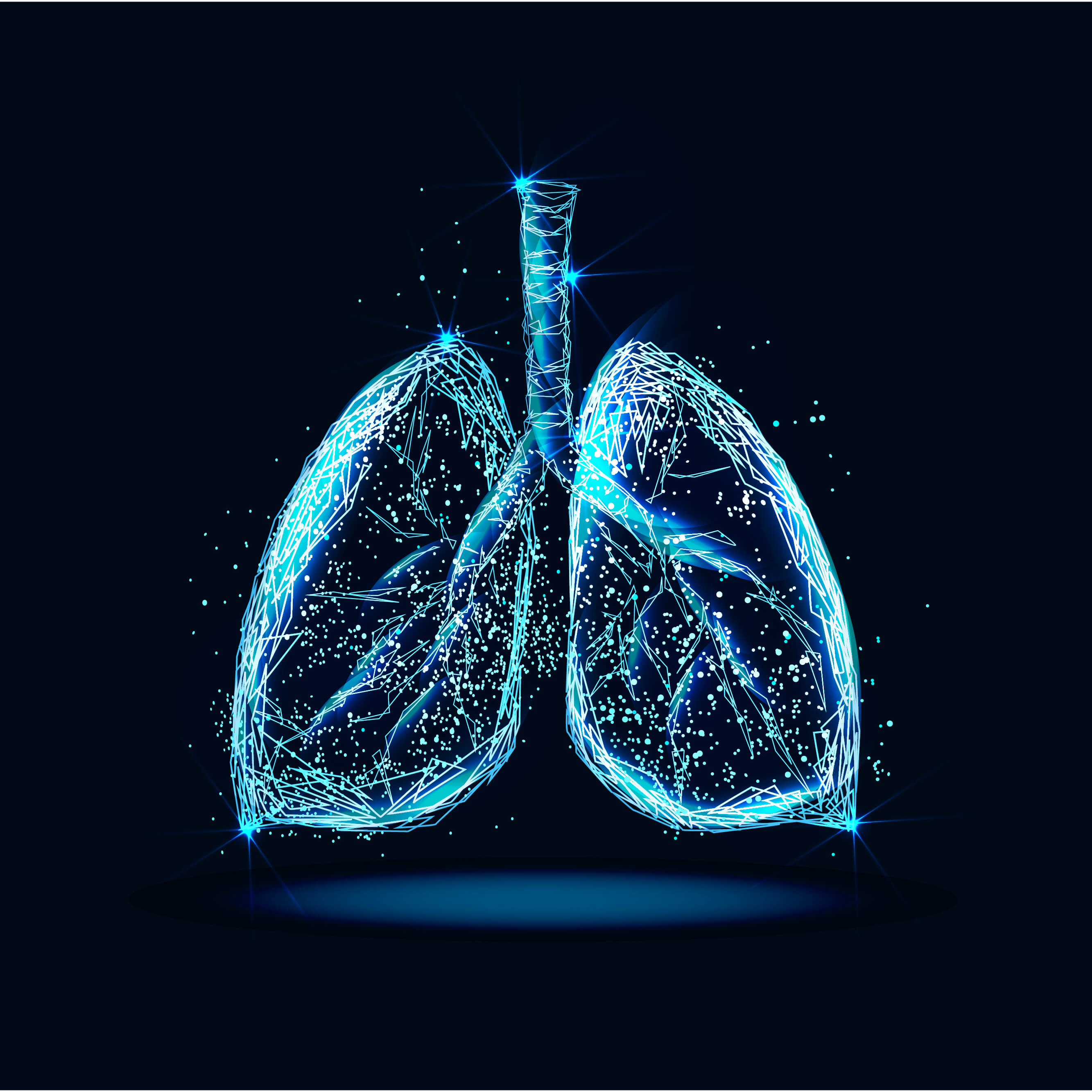 lung