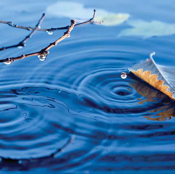 Mindful Meditation