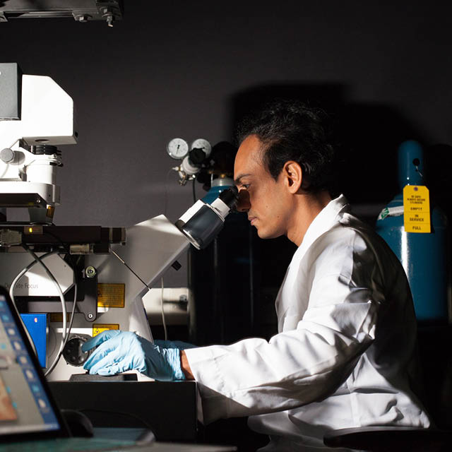 A photo shows a person looking through a microscope. 