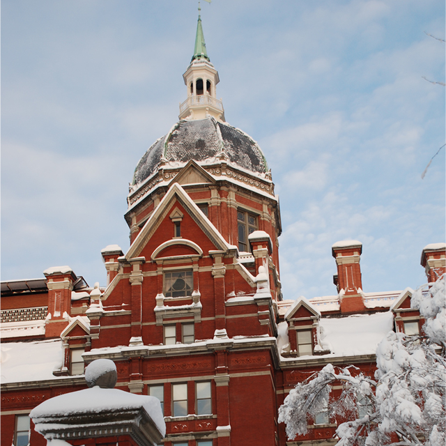 snow dome