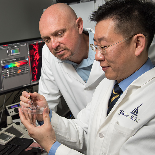 A photo shows Gene Fridman and Yun Guan.