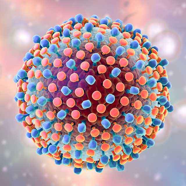 A graphic shows the Hepatitis C virus. 