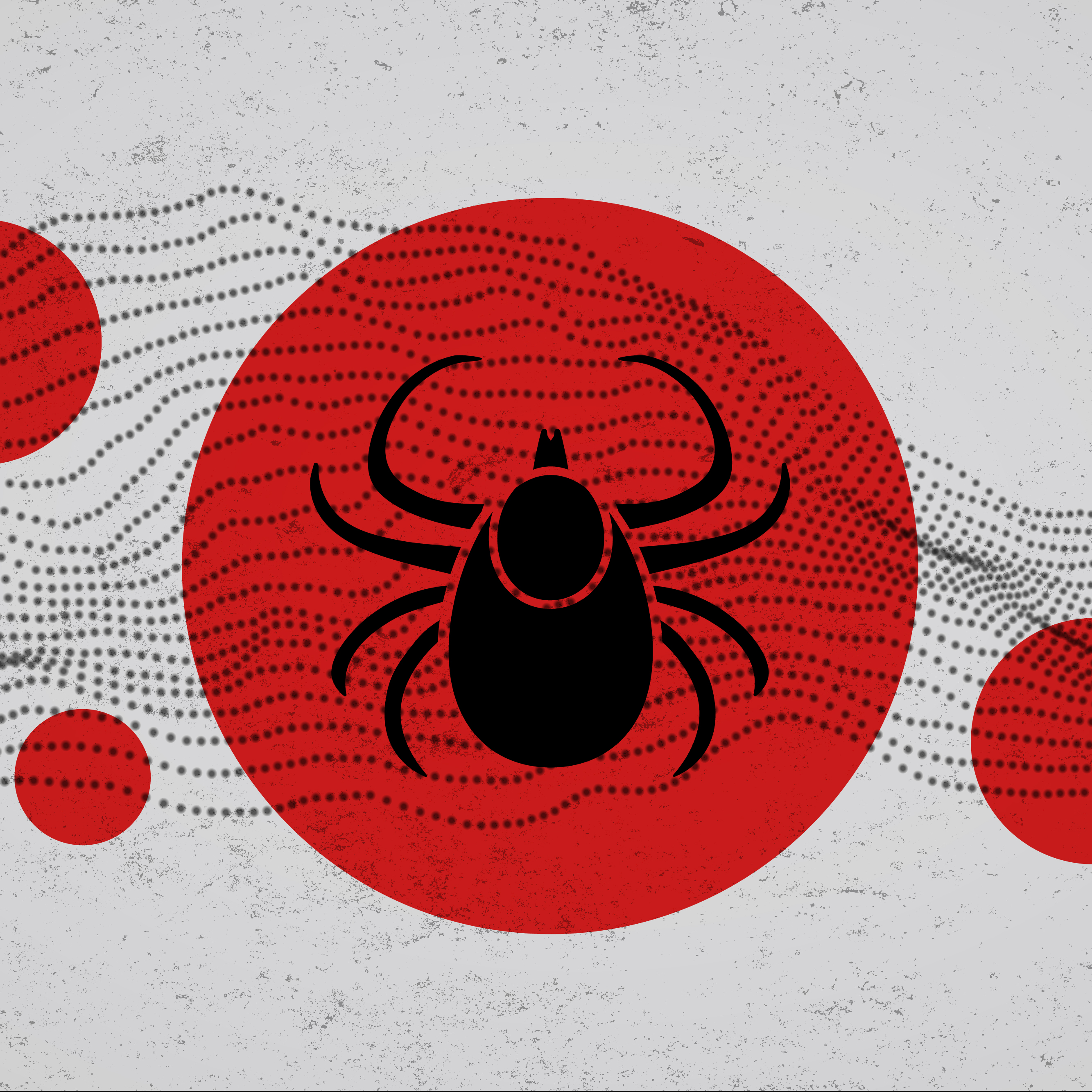 lyme-disease-640-01
