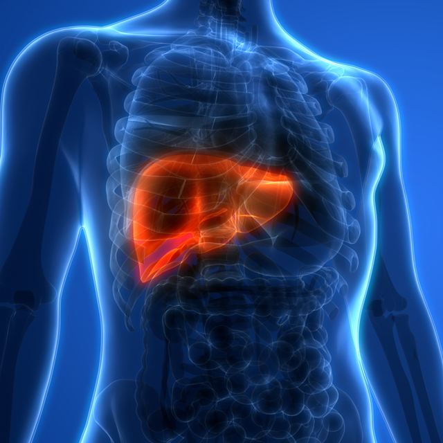 GettyImages-961746674 liver CONTENT