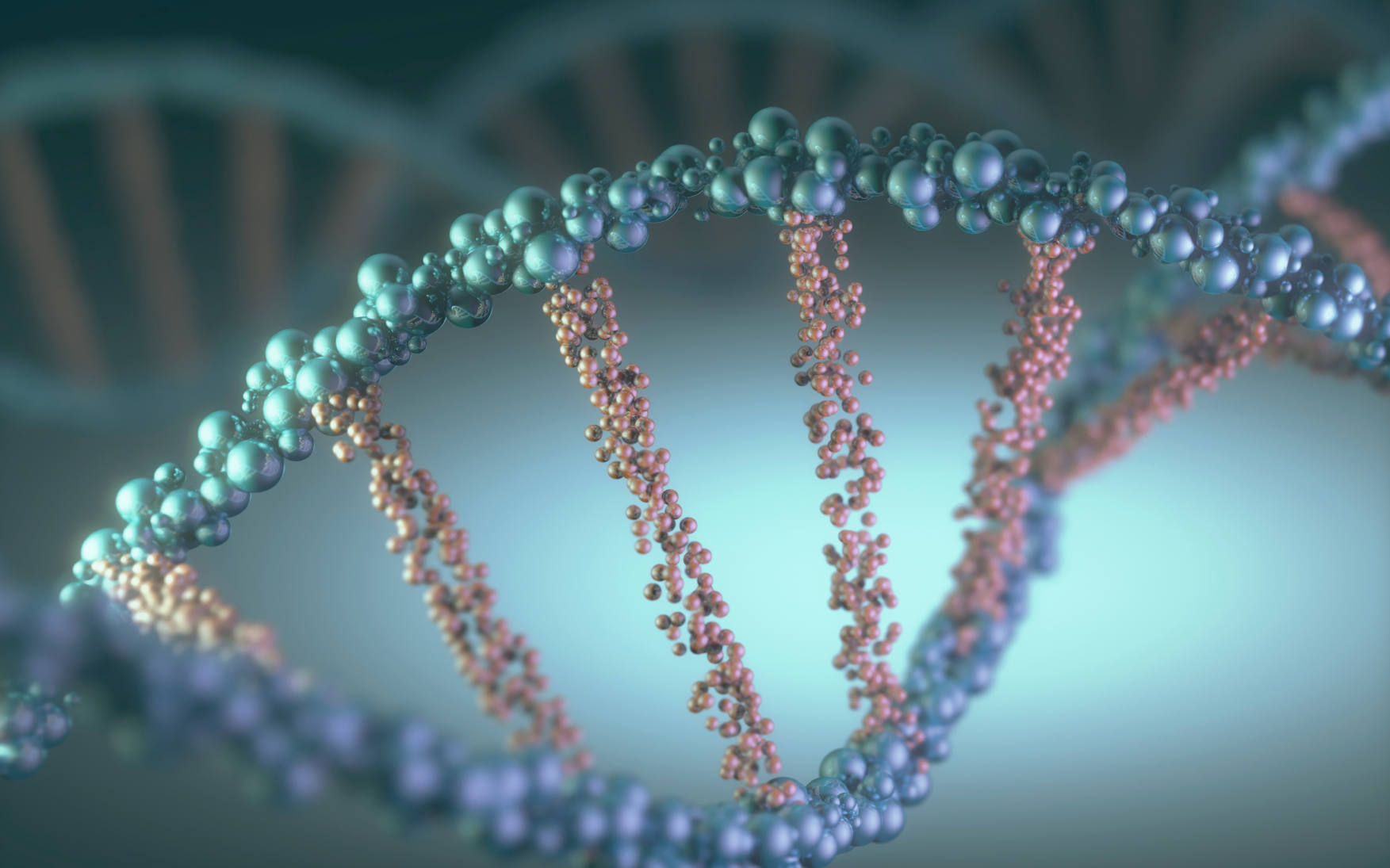DNA 