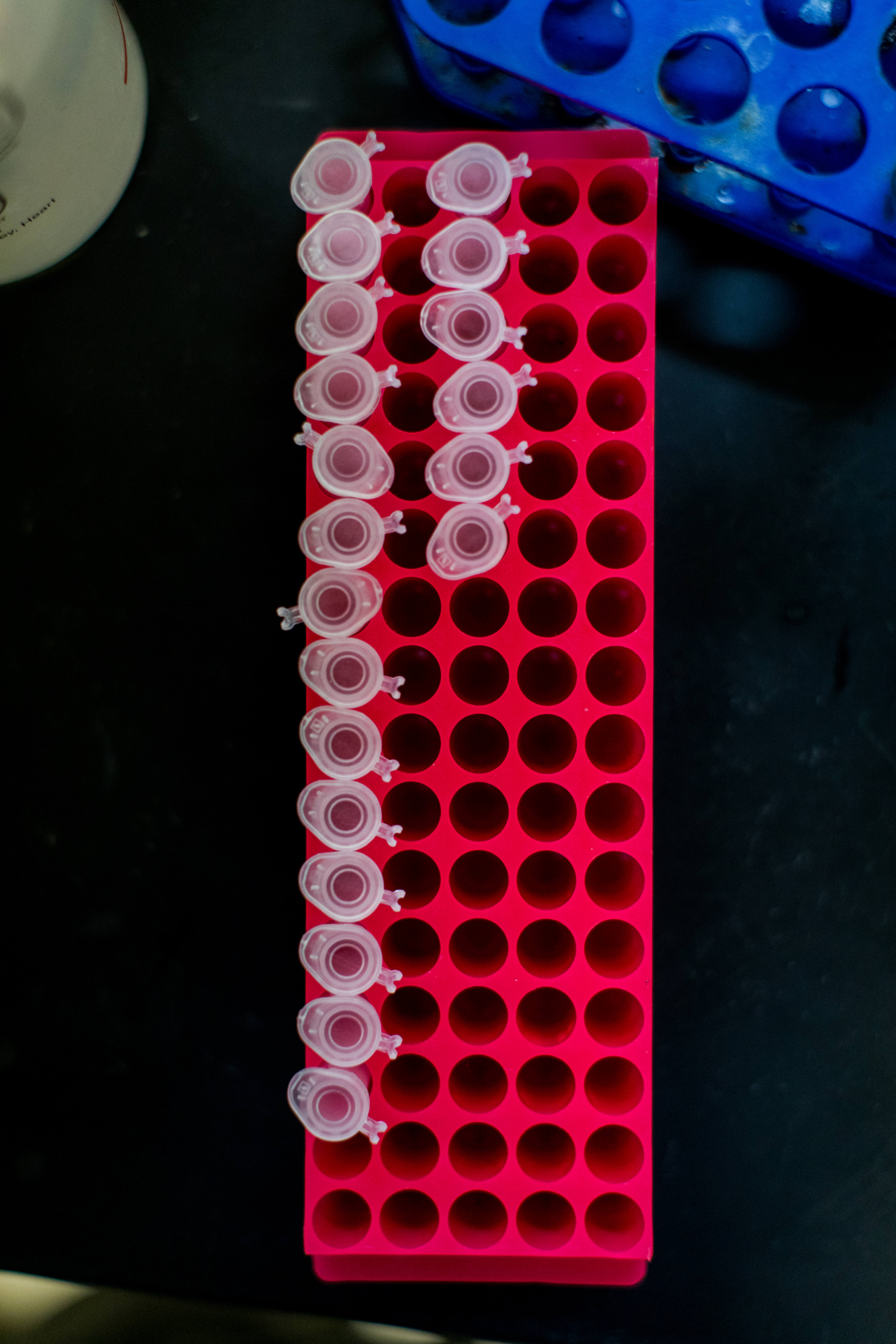 Lab test tubes