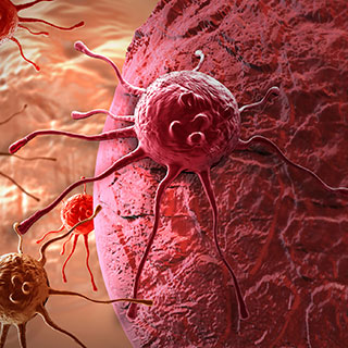 Cancer cells