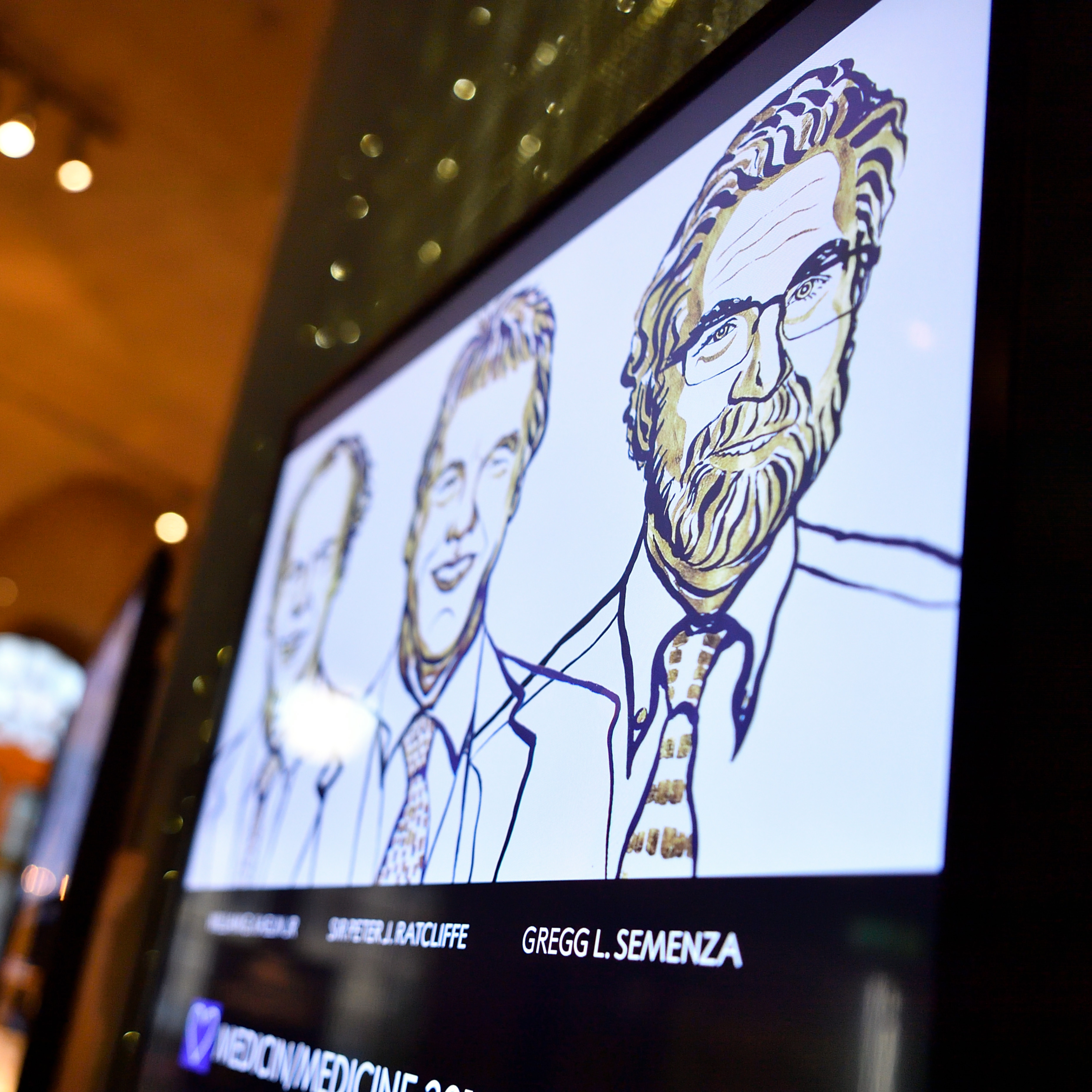 Semenza portrait in Nobel museum