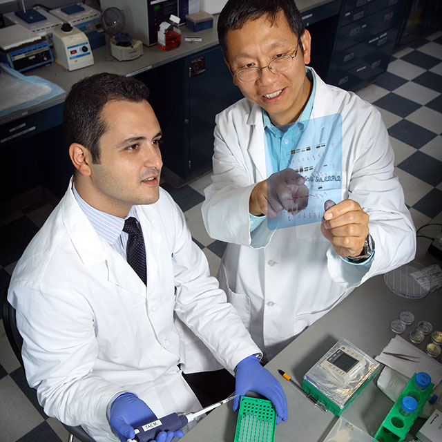 A doctor and a resident, both in white lab coats, look at a transparent blue paper that shows proteins expressed by ovarian cancer cells.