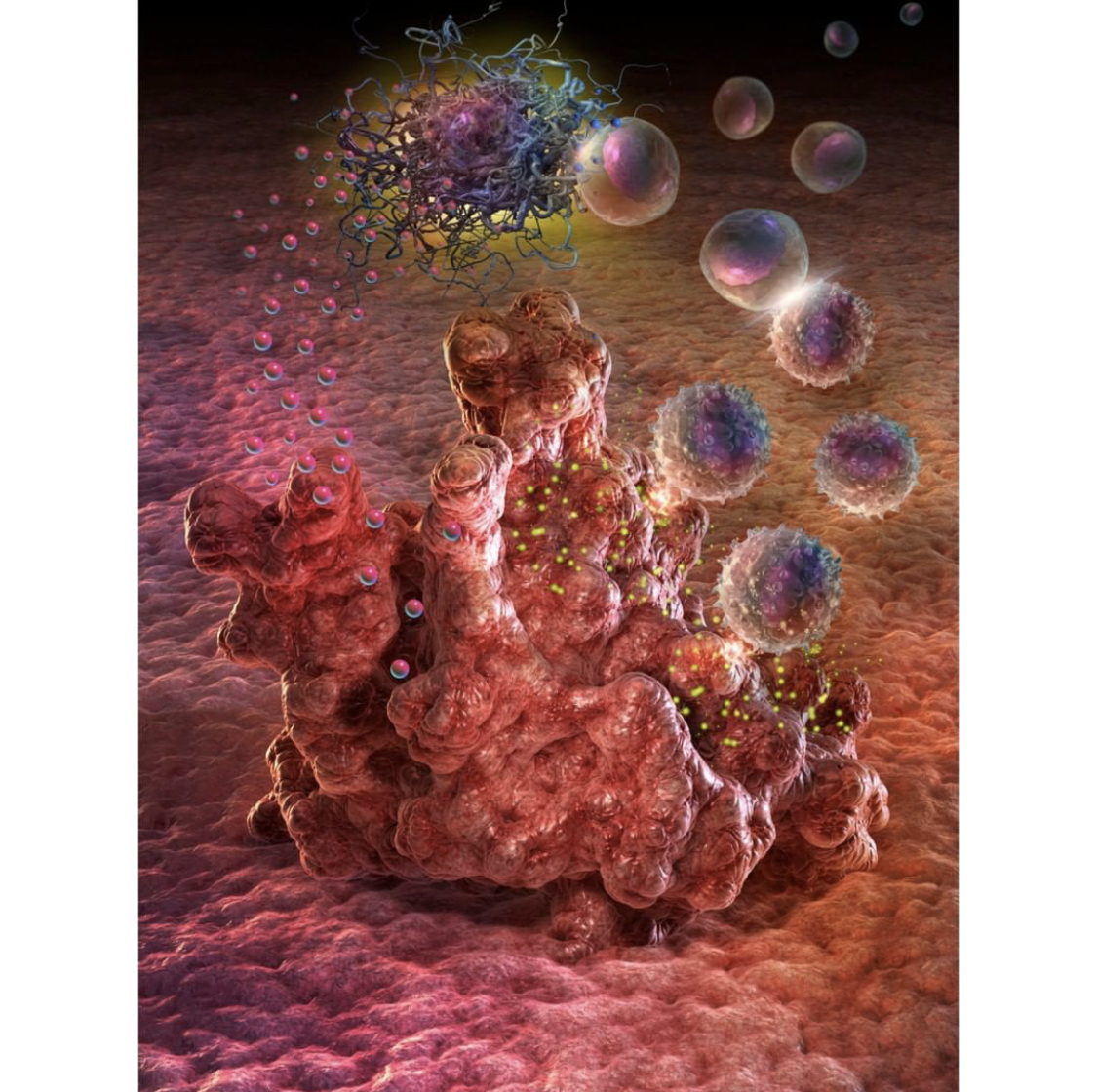 immune response