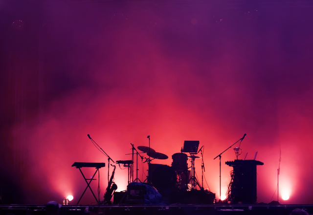 a crowd watches a concert during covid