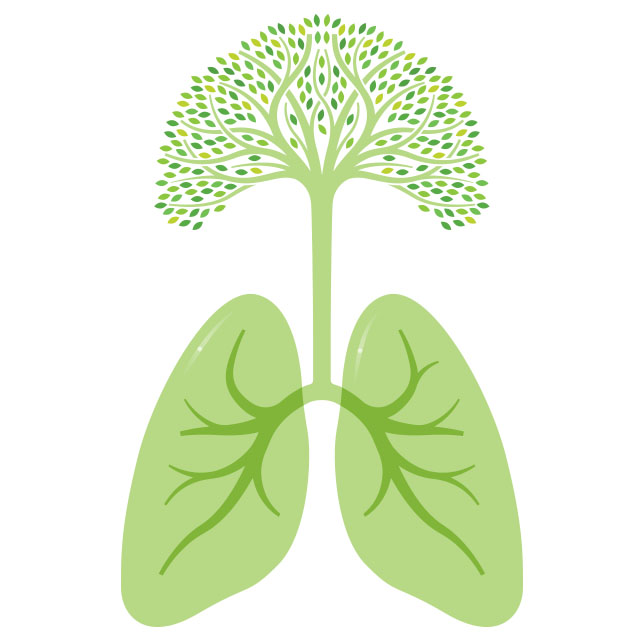 Figurative illustration of lungs as roots of a green, growing tree