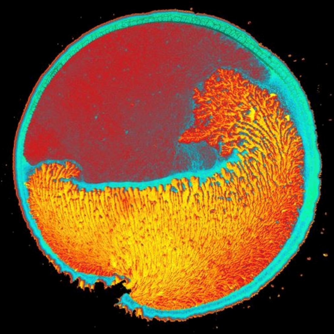 droplet of nanoparticles