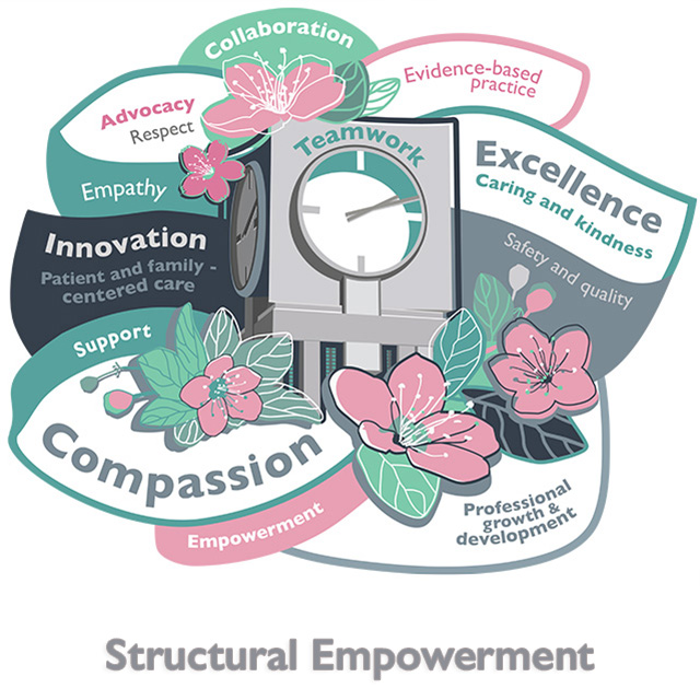 Creating a Professional Practice Model from the Ground Up | Johns ...