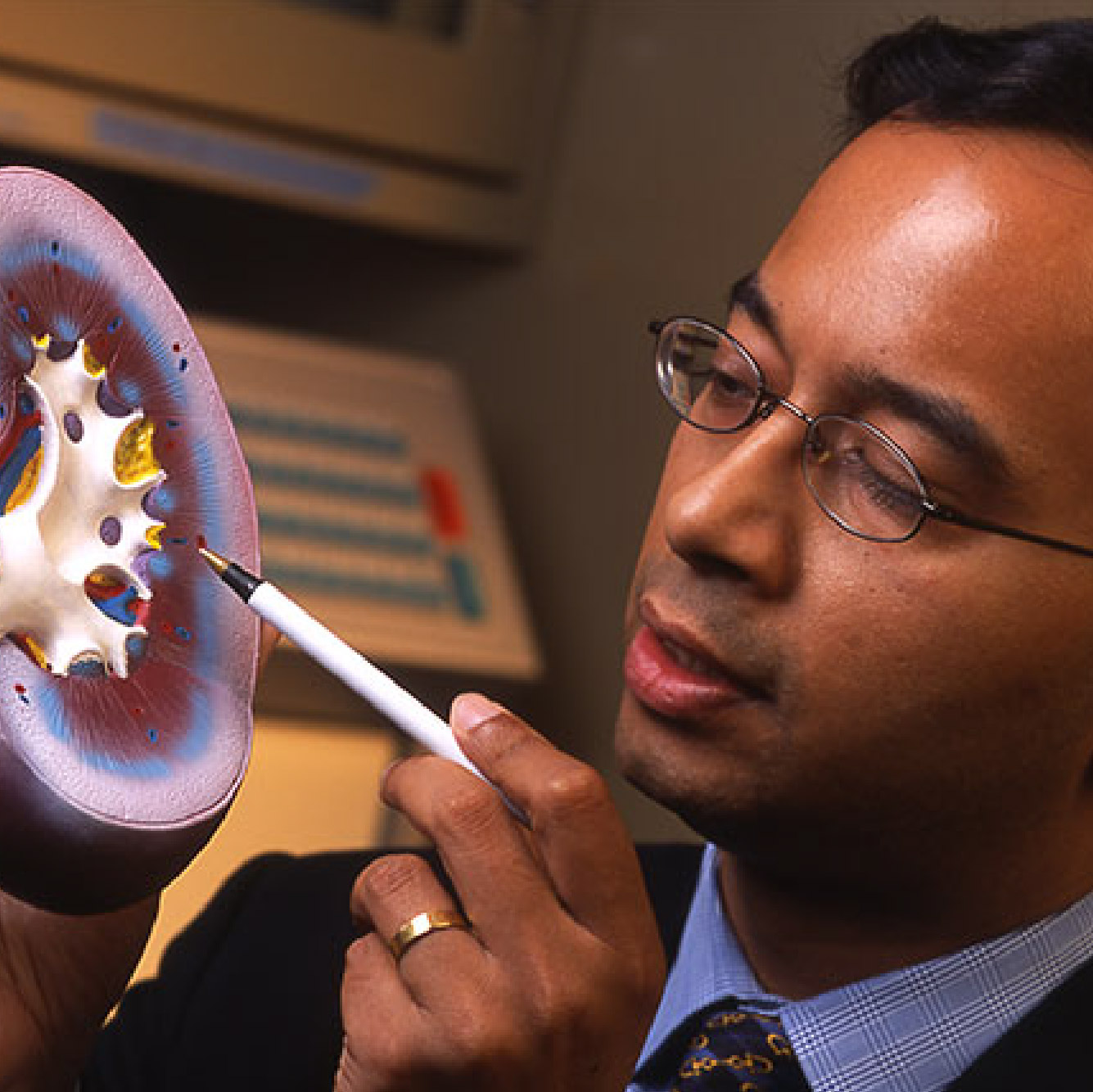 Newly Discovered Cells Shed Light on Immunotherapy in Kidney Cancer