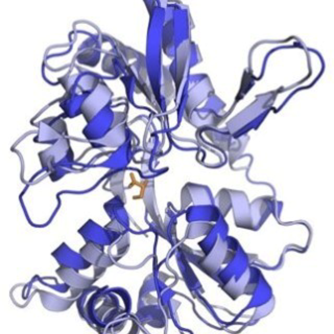 ribbon diagram of the GluD receptor