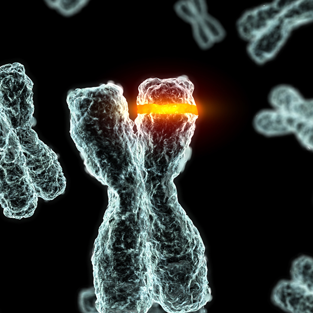 A conceptual image illustrates a DNA change in amber on a chromosome, an opaque blue X, on a black background.