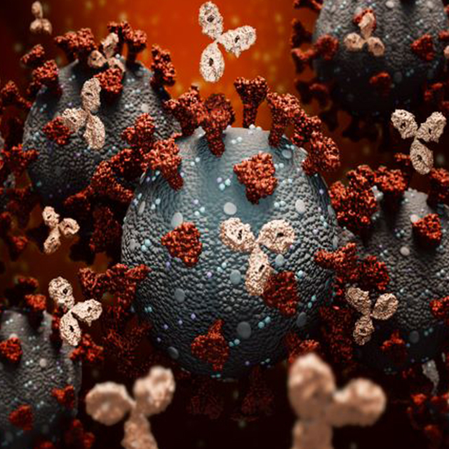 monoclonal antibody therapy microbe