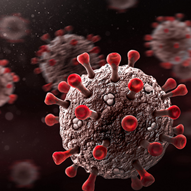 Image of Covid Germ