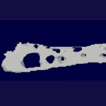 A slice of bone shown with holes in it against a royal blue background.