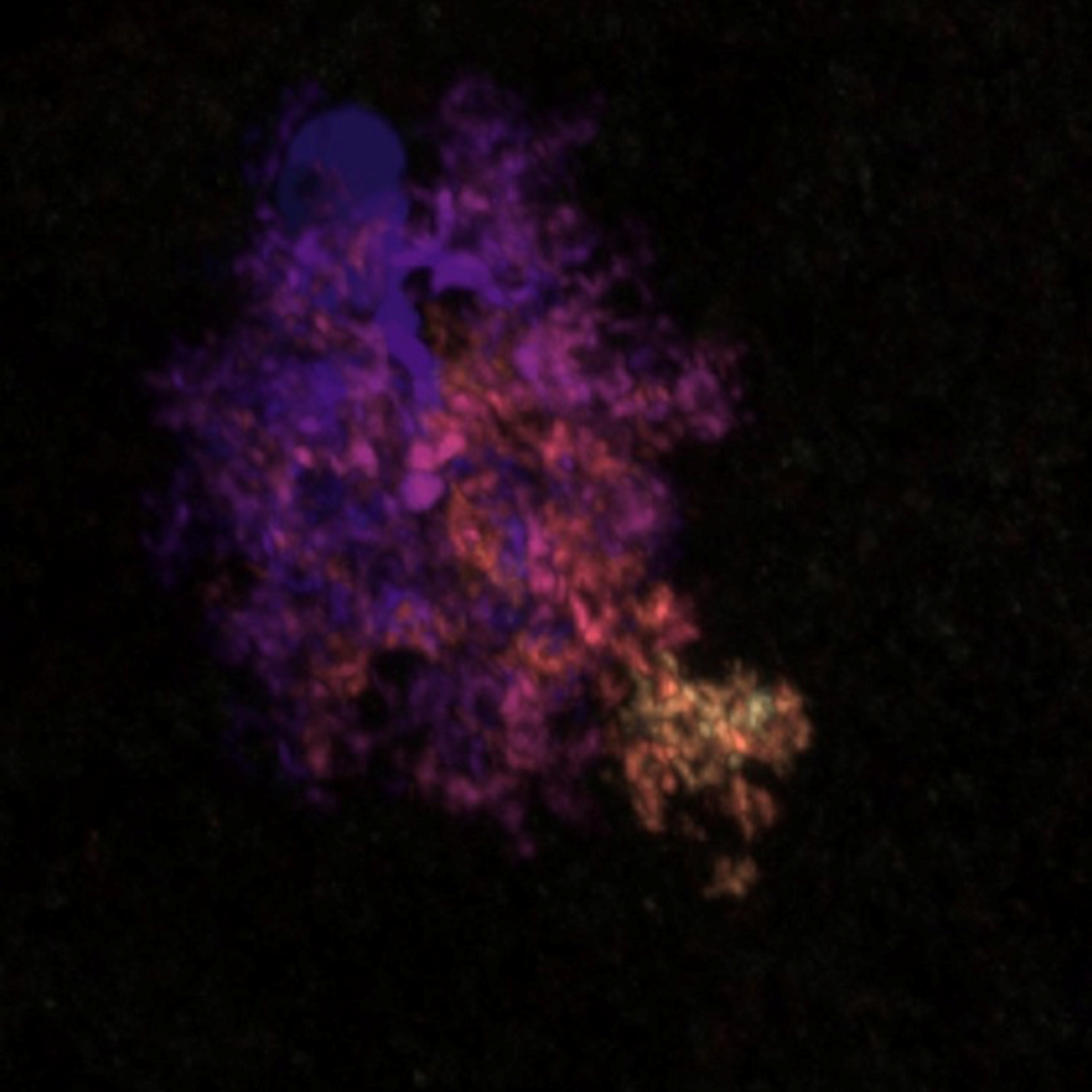 Astrocytes fire in different areas of the brain and use the signals to help us start falling asleep. Viewed digitally this looks like a purple, pink and yellow-orange cloud.