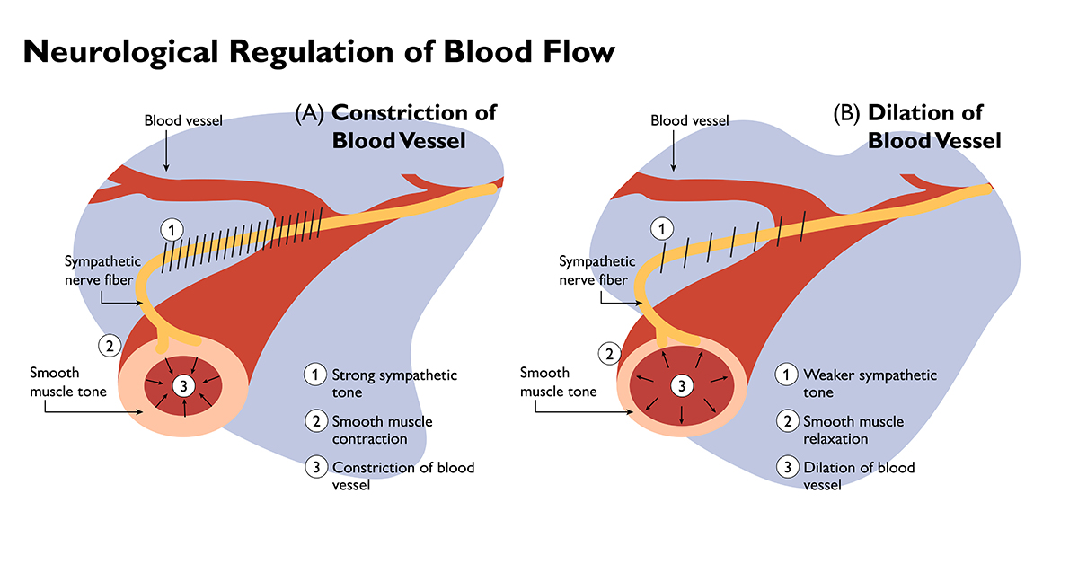 Postural orthostatic tachycardia syndrome (POTS) is a condition